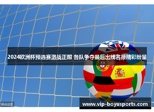 2024欧洲杯预选赛激战正酣 各队争夺最后出线名额精彩纷呈
